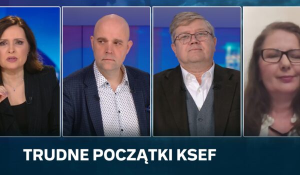 Anna Mełgieś w „Debacie u Gozdyry” (Polsat News)