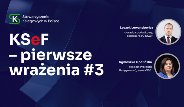 KSeF – pierwsze wrażenia #3